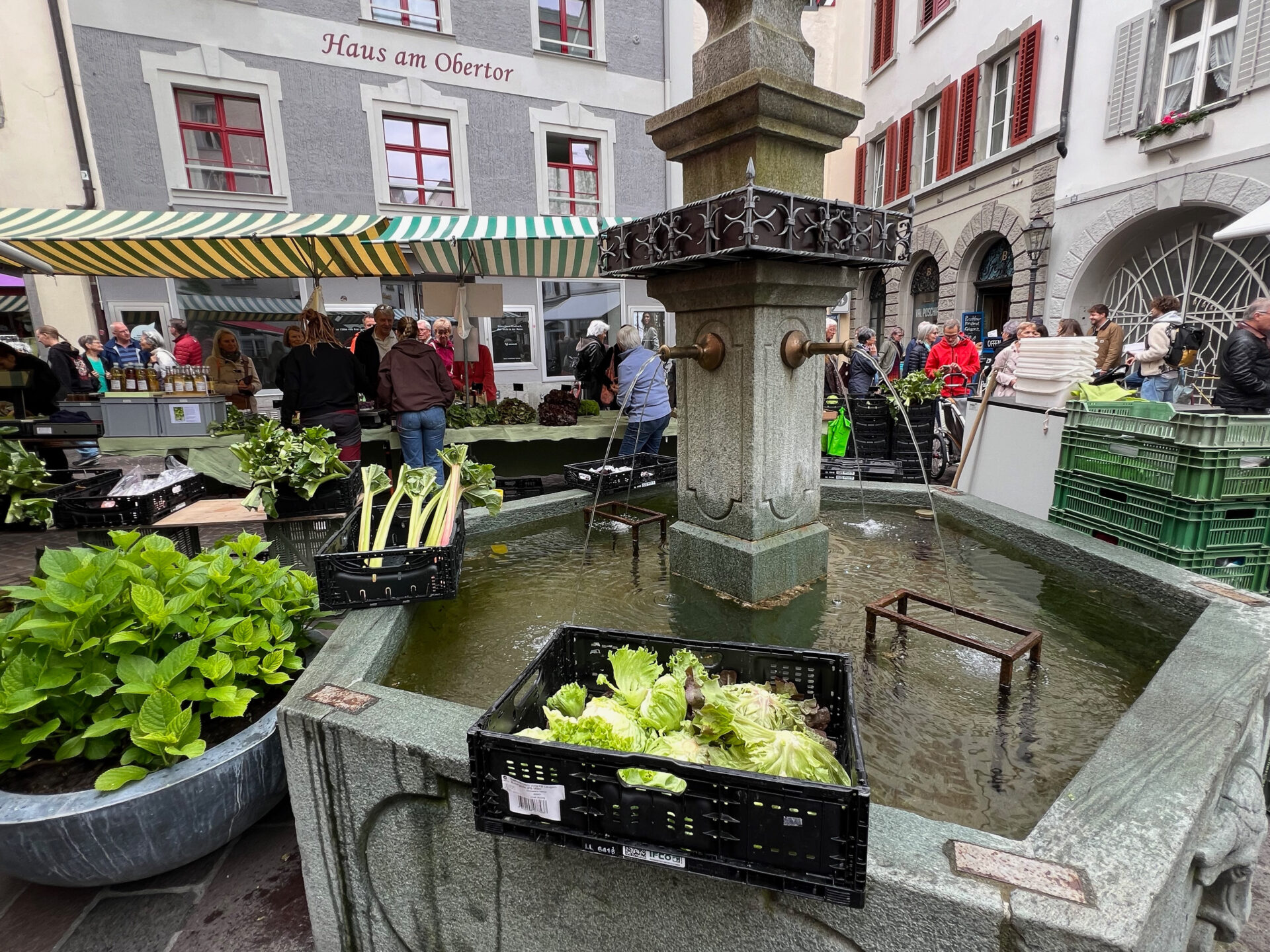 Markt rund um einen Springbrunnen in der Altstadt von Chur