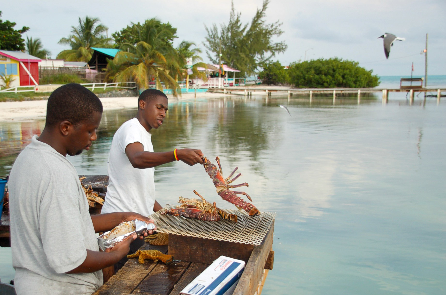 Zwei Männer grillen Hummer auf der Insel Anegada, die zu den British Virgin Islands gehört