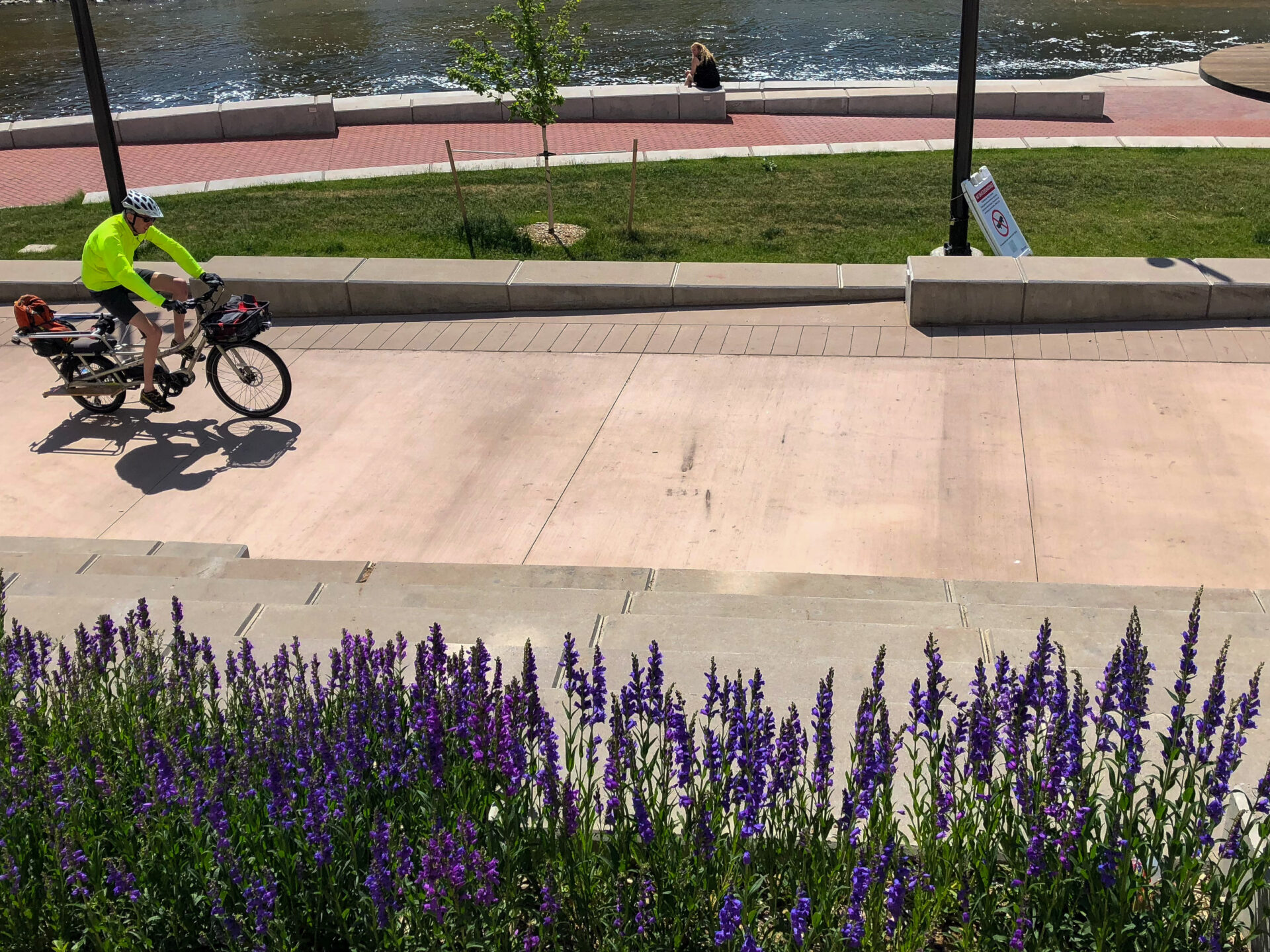 Lavendel und Radfahrer am South Platte River