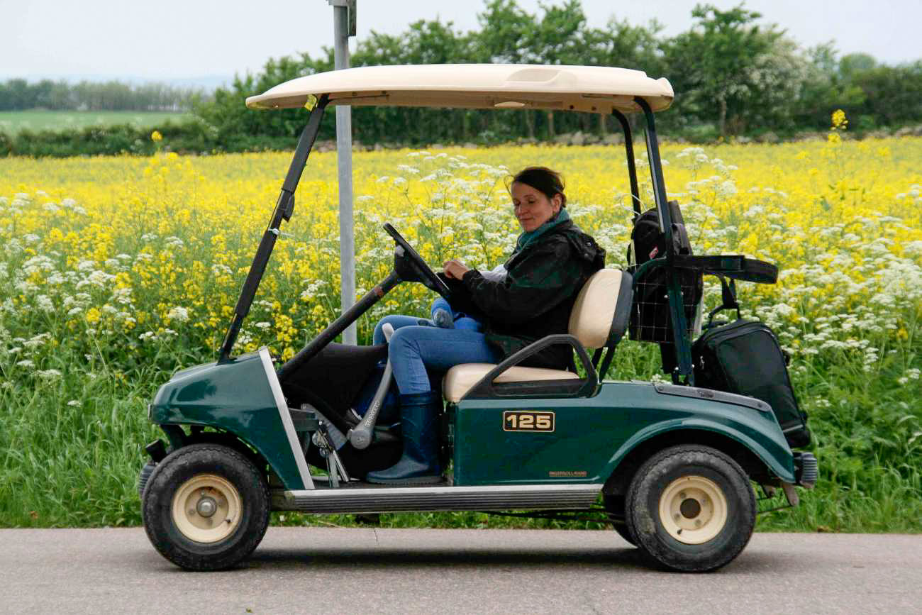 Frau sitzt versonnen in einem Golfcart auf der Insel Ven