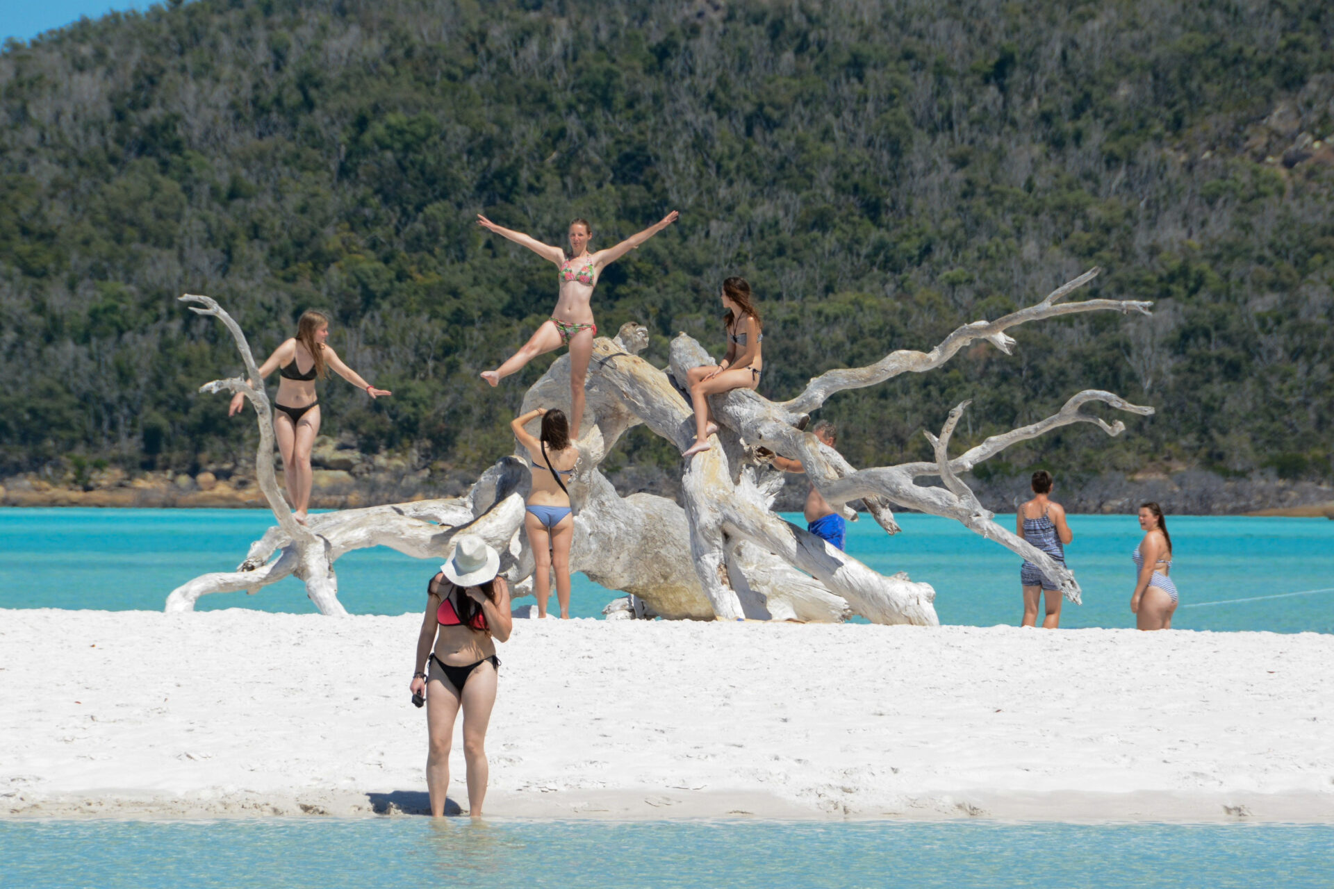 Gruppe von badenden jungen Frauen auf einem abgestorbenen Baum in den Whitsunday Islands in Australien