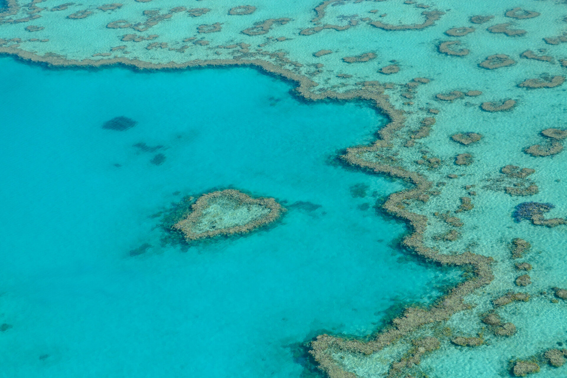 Luftaufnahme herzförmige Insel Great Barrier Reef mit Korallen in den Whitsundays