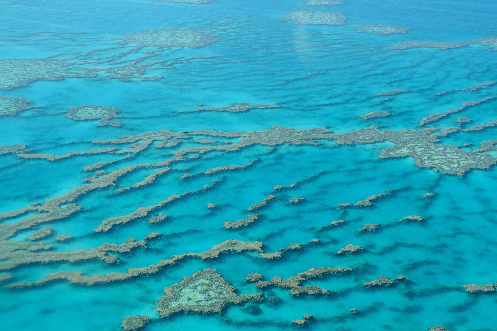 Luftaufnahme Korellenriff Great Barrier Reef