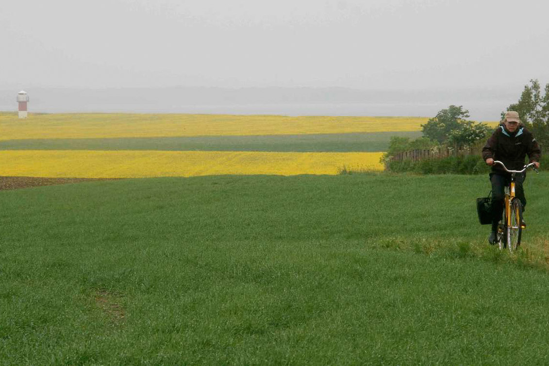 Radfahrerin vor Rapsfeld und Leuchtturm auf der schwedischen Insel Ven