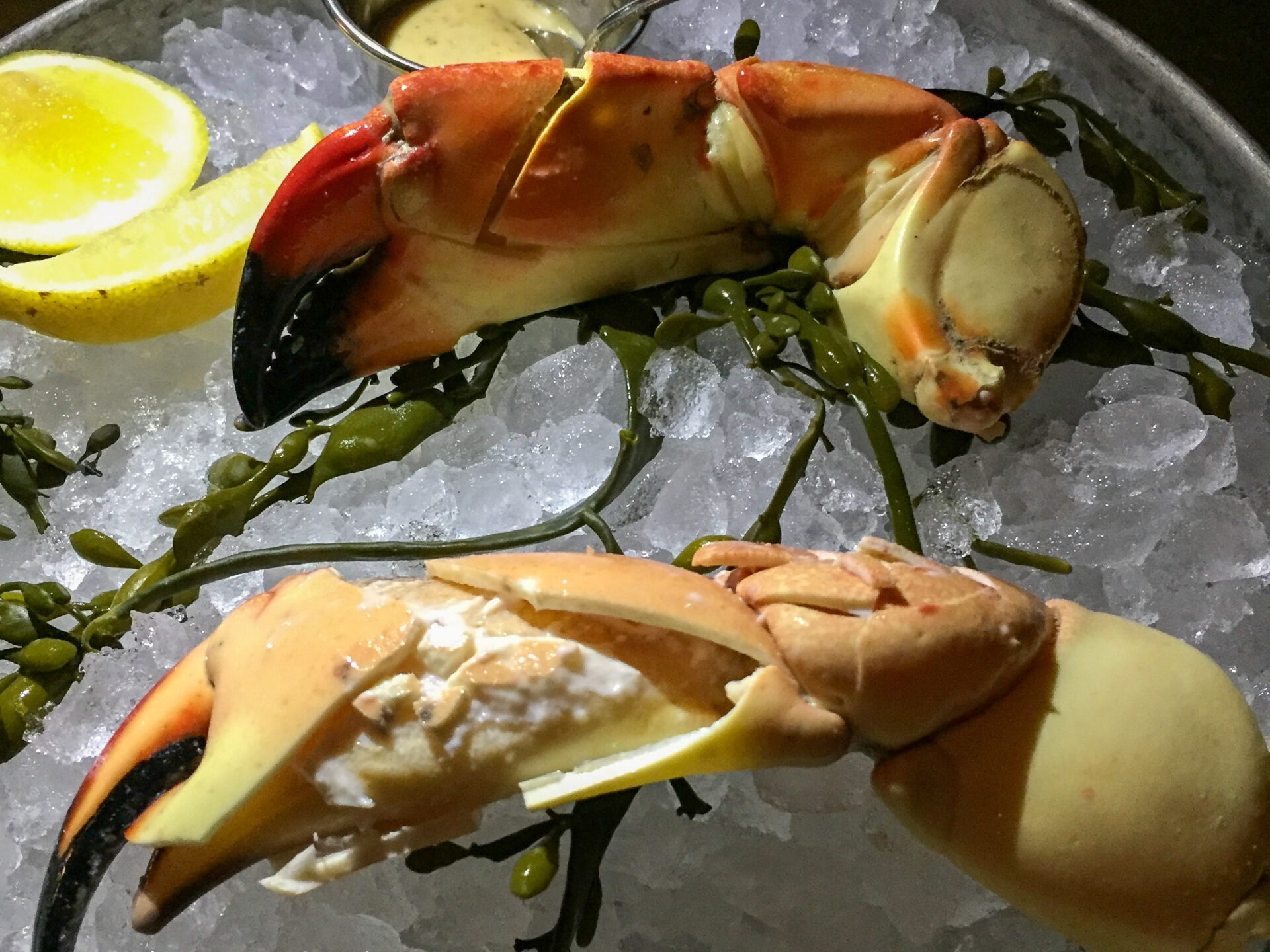 Stone Crab aus einem Teller voller Eis in Florida