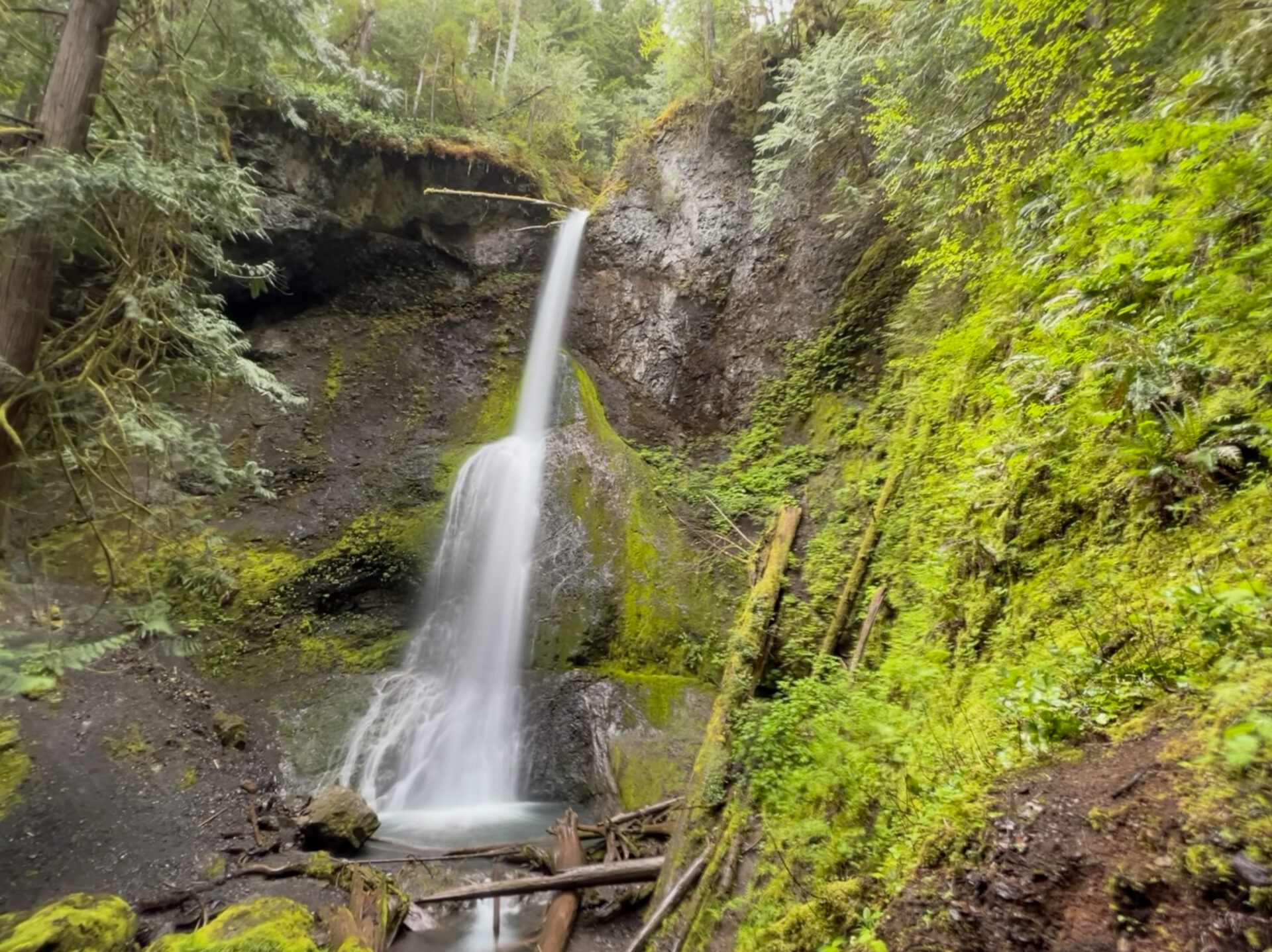 Wasserfall in Langzeitbelichtung auf der Olympic Peninsula im Pazifischen Nordwesten der USA