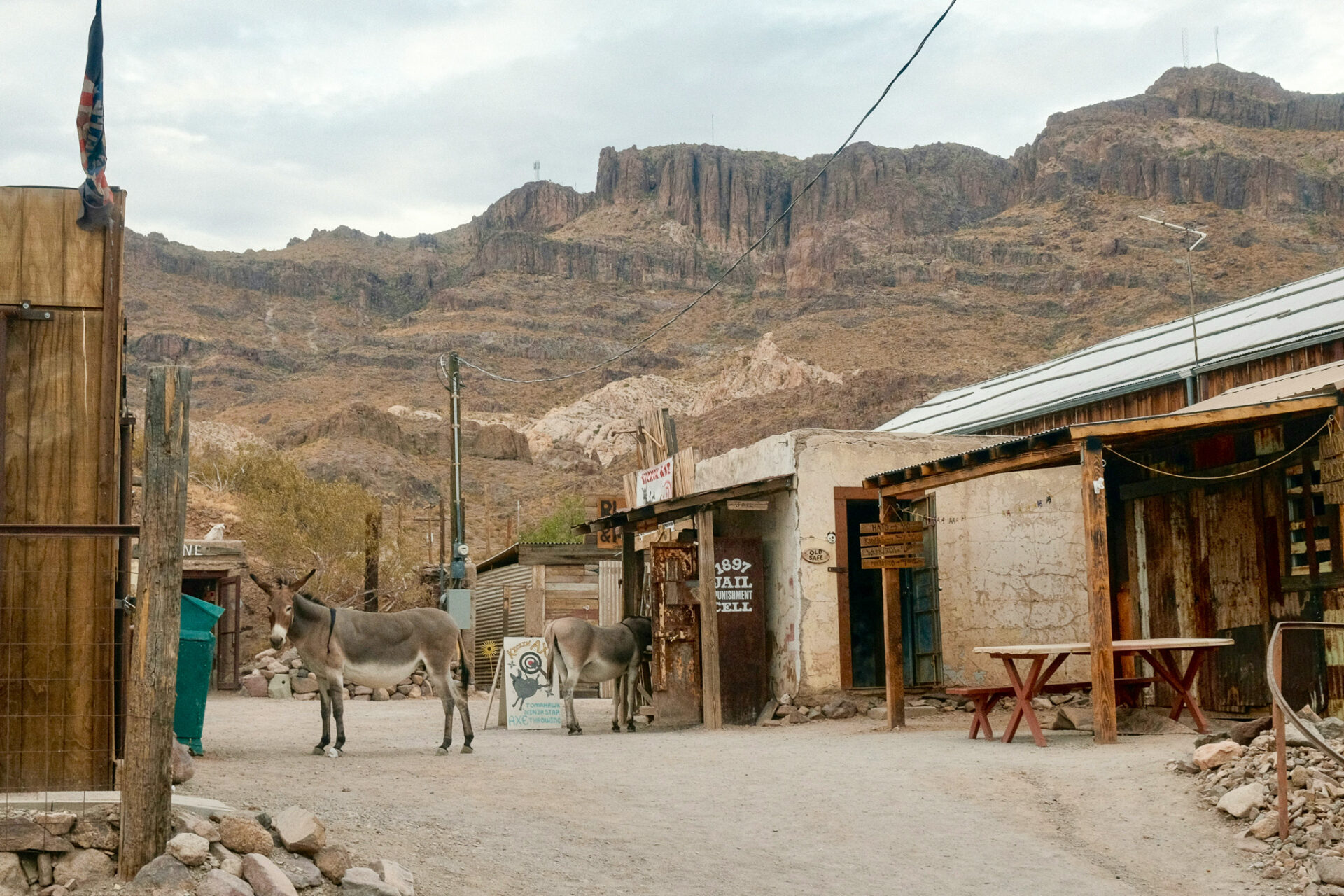 Esel bevölkern heute den kleinen Ort Oatman am Sitgreaves Pass an der Originaltrasse der Route 66