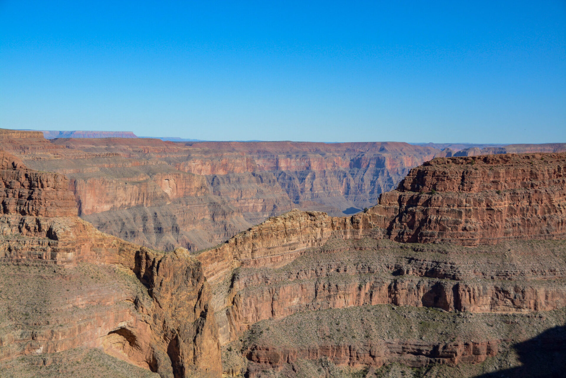 Blick in den Grand Canyon West in Arizona