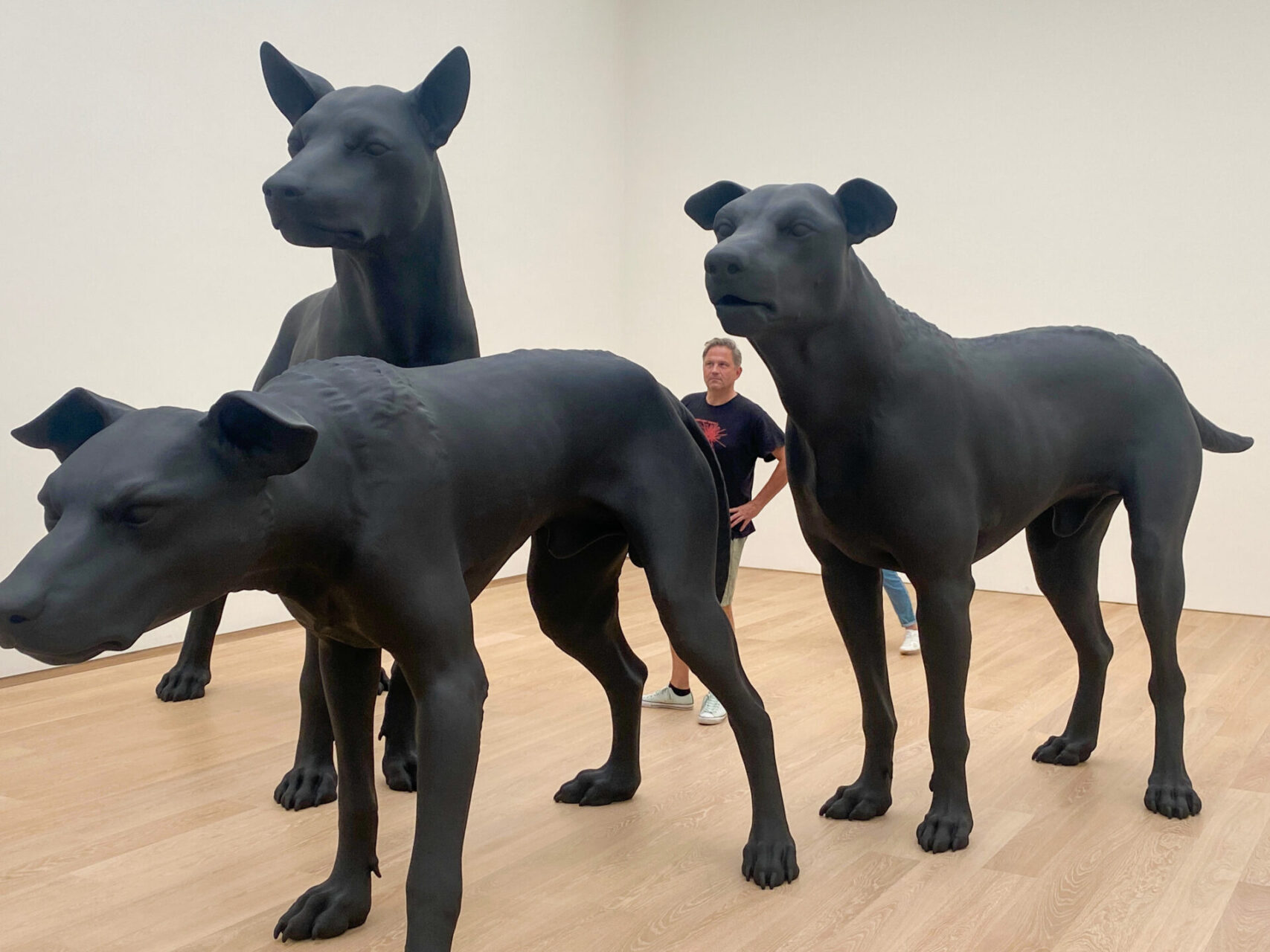 Installation »Couple of dogs« von Leandreo Erlich im Museum Voorlinden in Wassenaar