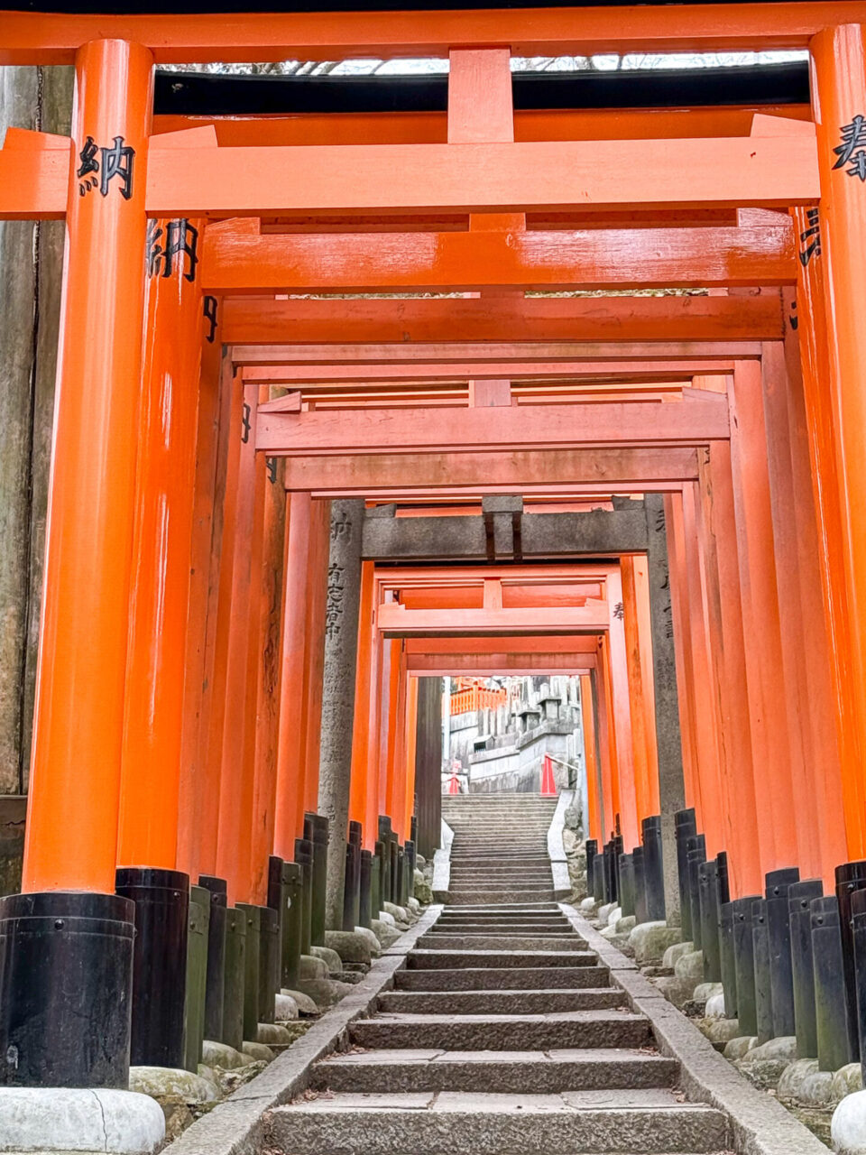Torbögen des Fushimi-Inari-Tempel in Kyoto