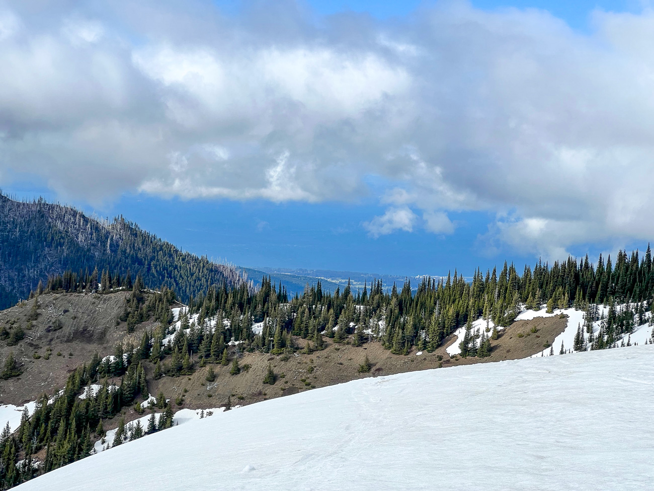 Blick von der Hurricane Ridge im Olympic National Park auf die Küste bei Port Angeles