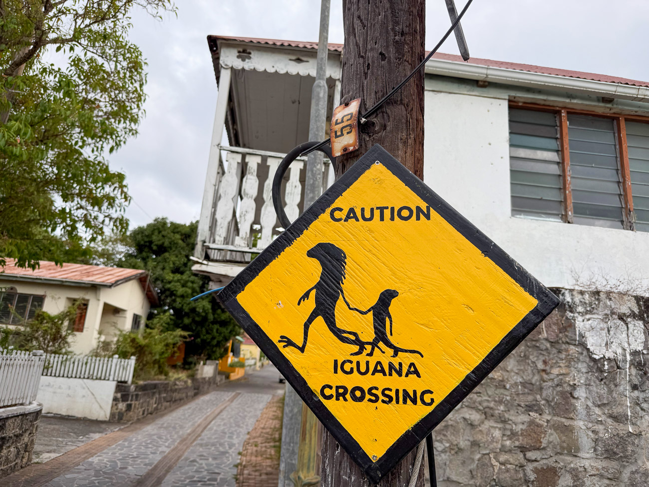 Schild mit zwei Leguanen und der Aufschrift "Caution, Iguana Crossing"