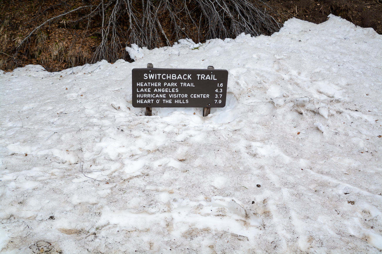 Schild zu Wanderwegen im Tiefschnee auf der Hurricane Ridge
