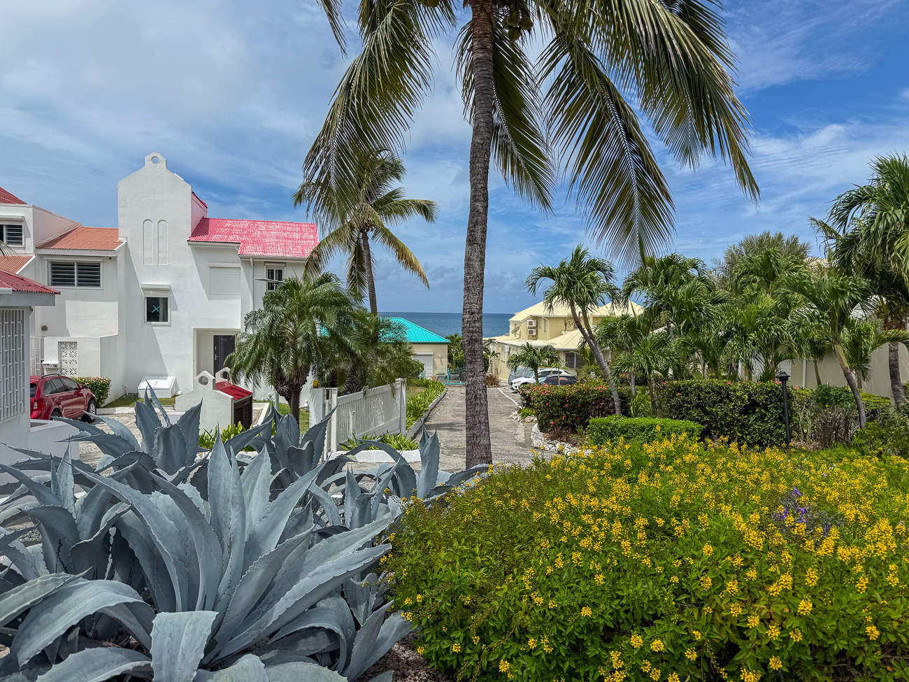 Vegetation auf einem Anwesen beim Simpson Bay Resort bei den Ferien auf Sint Maarten
