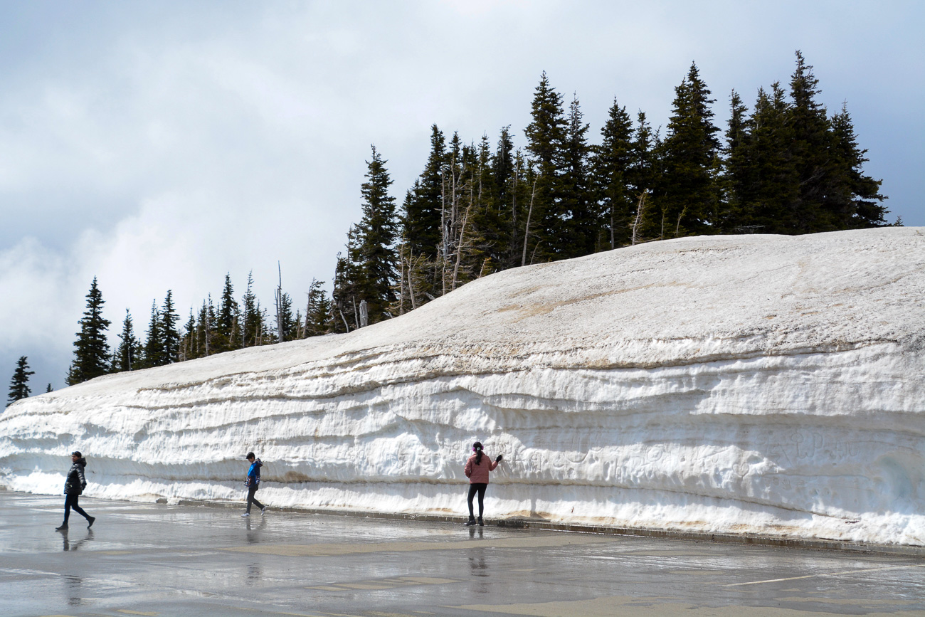 Wand aus Schnee auf dem Gipfel der Hurricane Ridge im Olympic National Park in Washington State