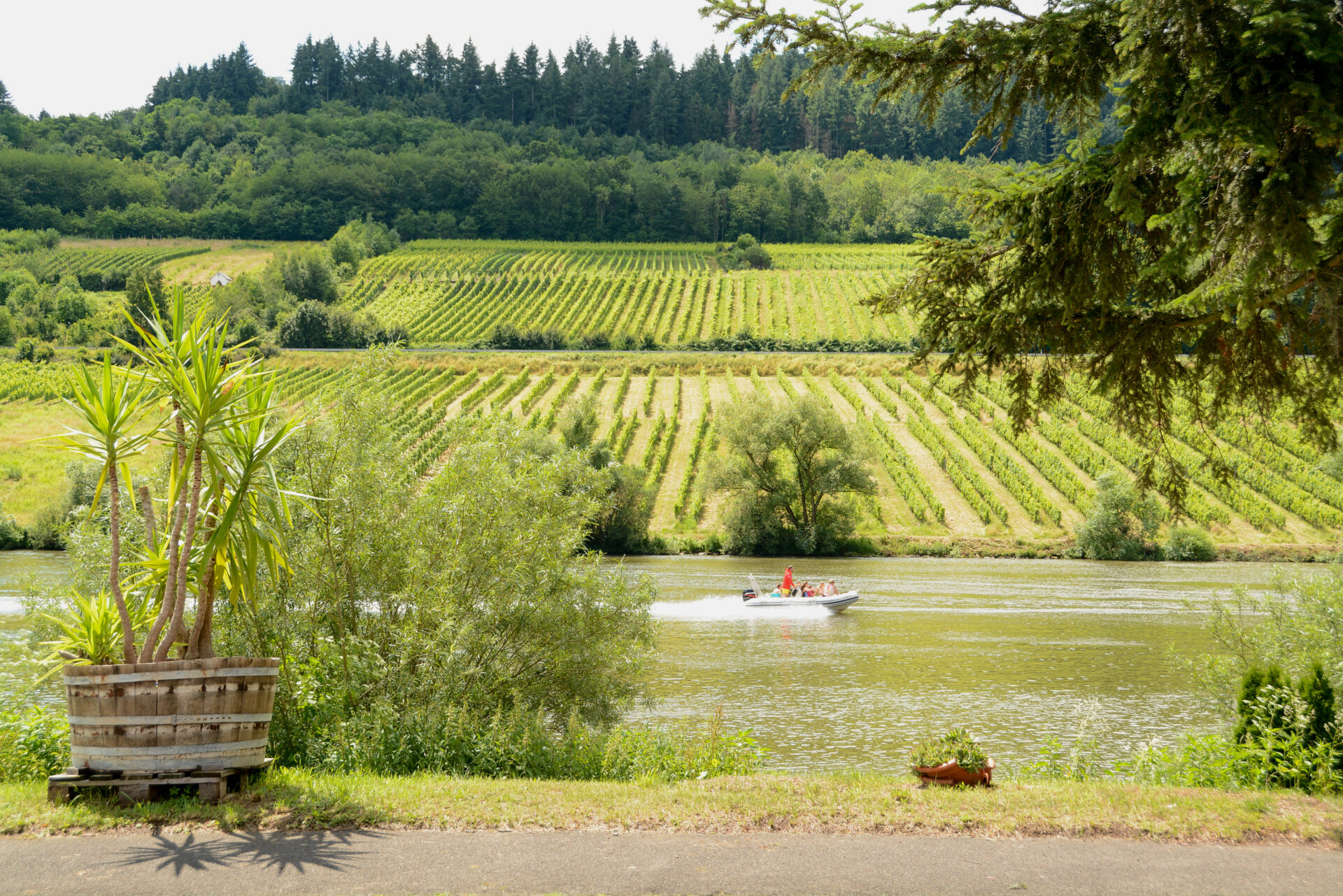 Mottorboot auf der Mosel vor Weinbergen