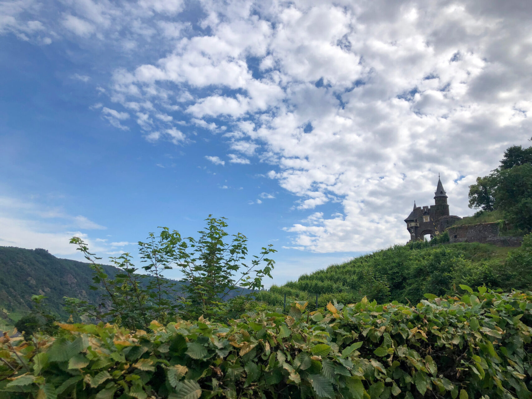 Türmchen über einem Weinberg bei Coburg in Rheinland-Pfalz