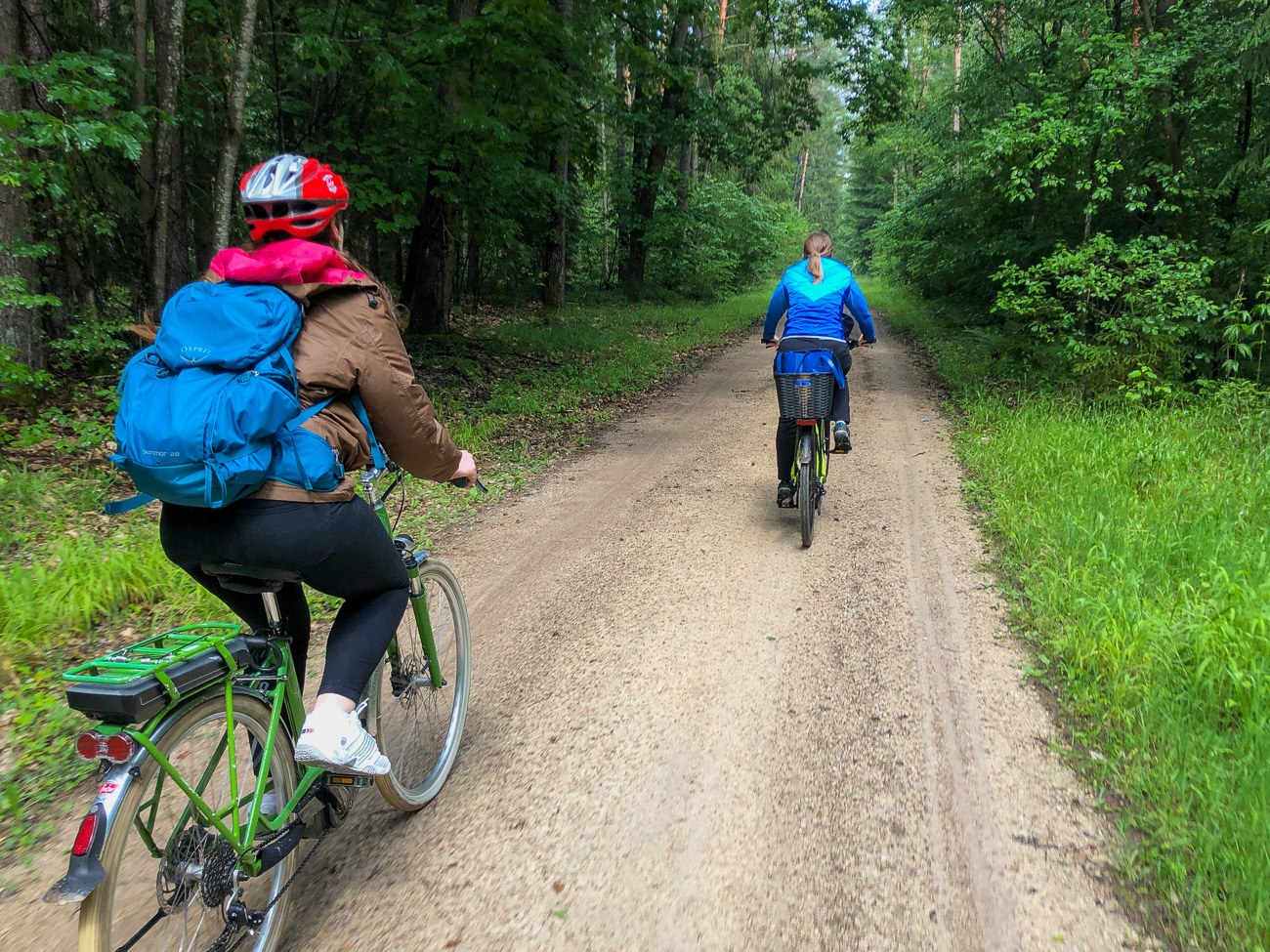 Radlerinnen im Wald auf dem Fränkischen Wasserradweg