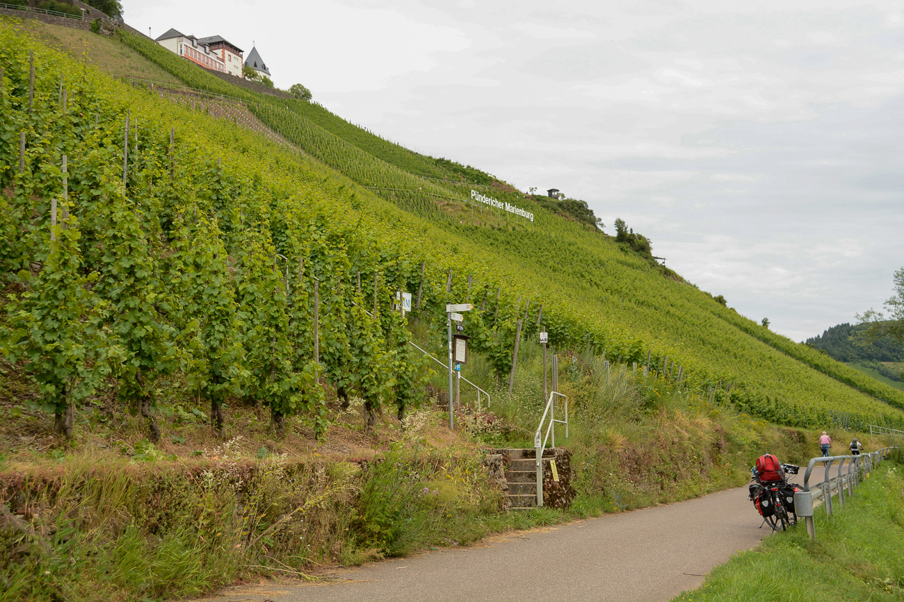 Radtour im Weinberg Pündericher Marienburg an der Mosel