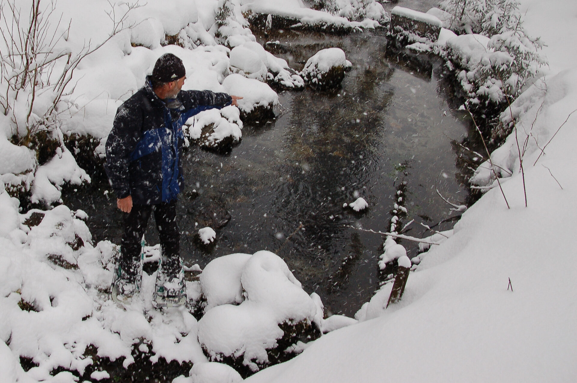 Guide Johann Naglmeyer weiß wo die Kresse im winterlichen Bach von Gastein wächst